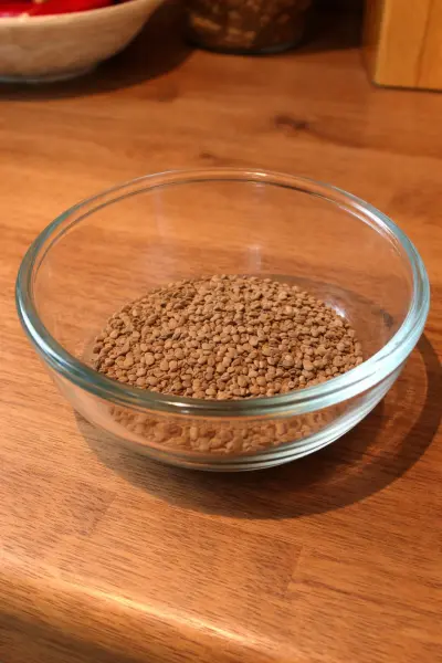 Karotten Samen “Meraner Lange” abzugeben